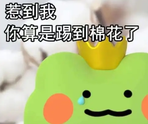 網(wǎng)絡(luò)用語惹到我你算是踢到棉花啦是什么梗