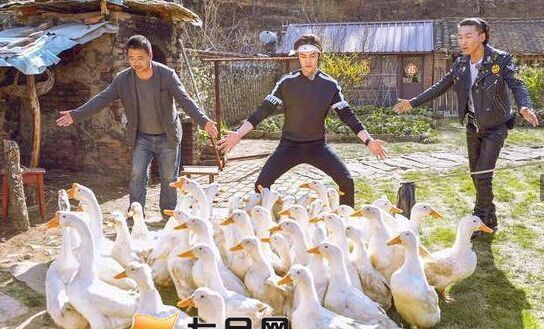 十二道鋒味第二季在哪個臺播出什么時候播 十二道鋒味2每周幾播出