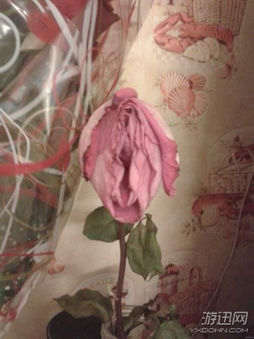 ɹڵĶȥ (j)f˾CҲҪ܇D