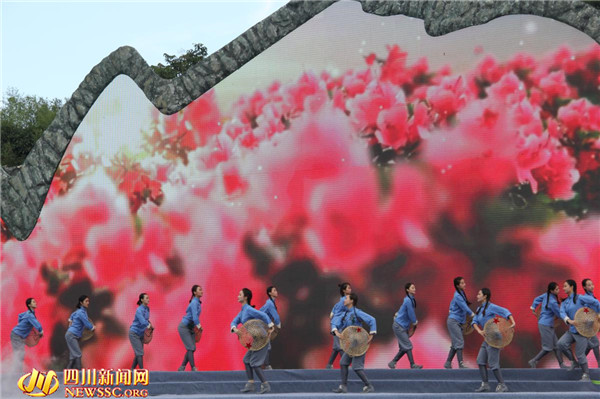 2016ĴAvɽĻ(ji)_Ļ VO(sh)缉(j)Ŀĵ
