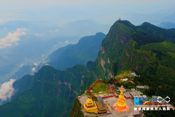 w醡ü֮p ƾ