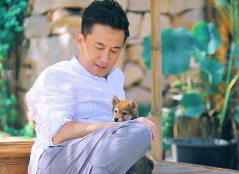 向往的生活小H什么品種 田園犬品種及習(xí)性介紹
