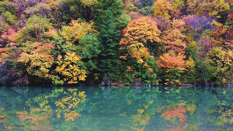 太美了!四川紅葉進(jìn)入最佳觀(guān)賞期