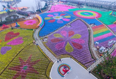 土地上“種”風(fēng)車 成都一種植園百“花”齊放