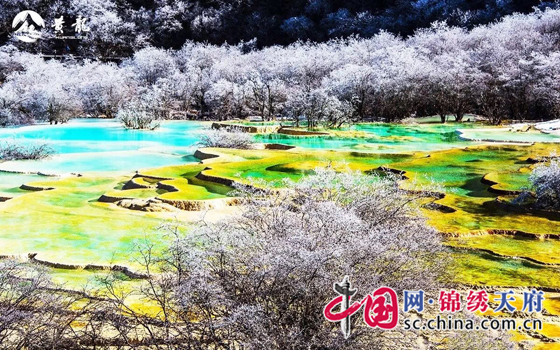 黃龍景區(qū)開(kāi)門(mén)迎客 門(mén)票正式執(zhí)行旺季價(jià)